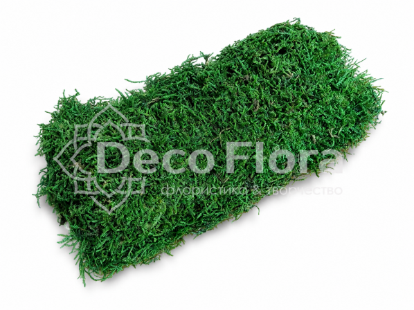 Мох стабилизированный плоский 30*10см натурал